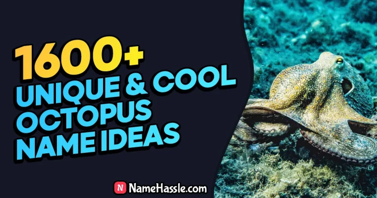 Names for Octopus