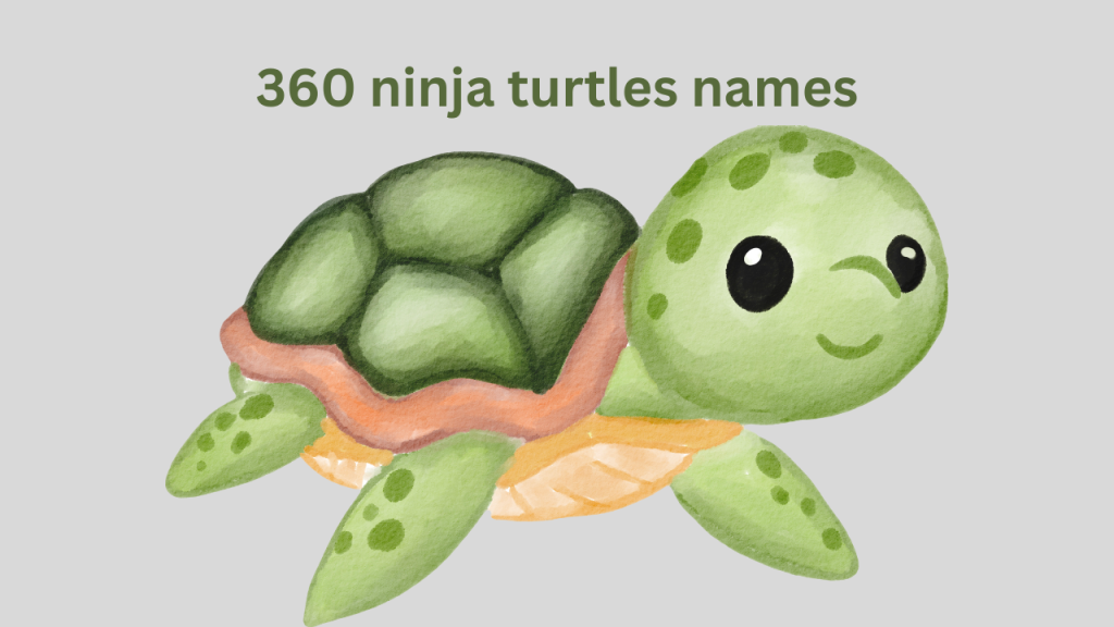360 Ninja Turtles Names: The Ultimate List for Fans