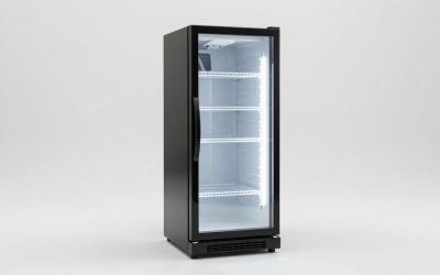 Best Beer Fridges for Every Space and Budget