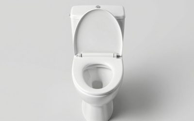 Best Bidet Toilet Seats with Auto-Open and Nightlight
