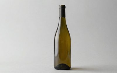Best Chardonnay Wines for Every Taste and Budget