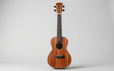 Best Concert Ukuleles for Intermediate Players