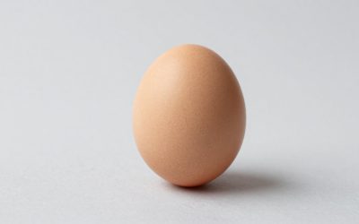 Best Egg Candlers for Fertility Testing