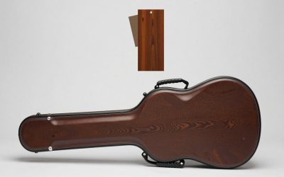 Best Guitar Cases for Safe, Easy Transport