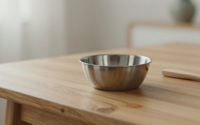 Best Stainless Steel Sinks